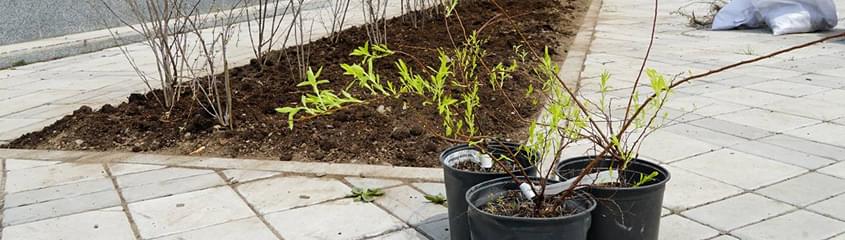 Охрана окружающей среды